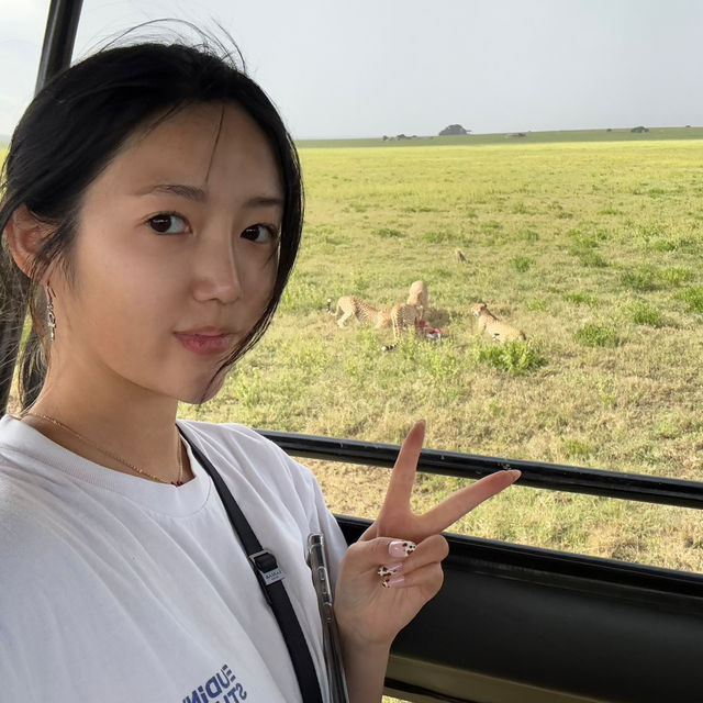 인생에 한번쯤은 세렝게티 여행🦁
