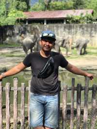Superb Experience 