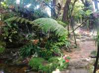 อเมซอนคาเฟ่ที่สวยเหมือนป่าจริง