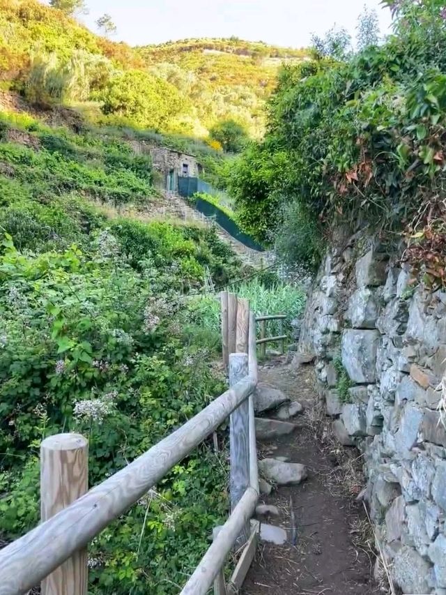用腳去感受五漁村