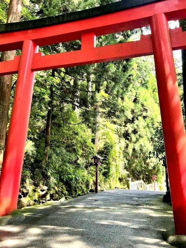 A Stunning Sight at Hakone Shrine’s Torii Gate