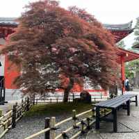 🛕 Where Time Meets Tranquility: Rokuharamitsu-ji & Reiwakan in Kyoto 🌸🪷