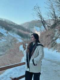 Is Hokkaido, Japan worth the hype?