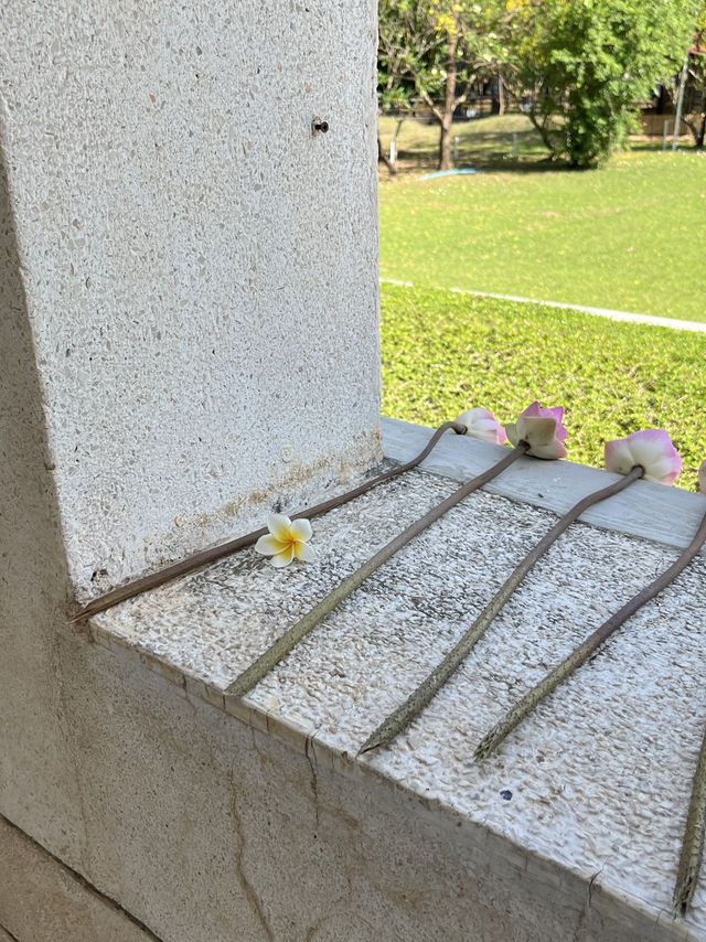 🕊️ Choeung Ek Killing Fields: A Place of Silence, A Plea for Peace ⚖️🌿