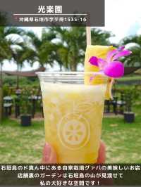 【石垣島】絶景カフェ＆ジェラート4選🌴🍨