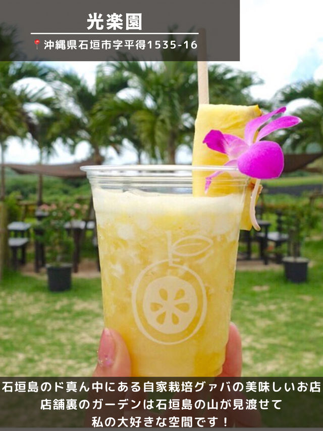 【石垣島】絶景カフェ＆ジェラート4選🌴🍨