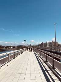 Katase-Enoshima Station: Your Portal to Enoshima’s Coastal Charms