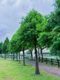 🌿祥鷺生態埤塘公園｜桃園市區裡的小森林，輕鬆散步賞水鳥的靜謐角落 🐦🌾