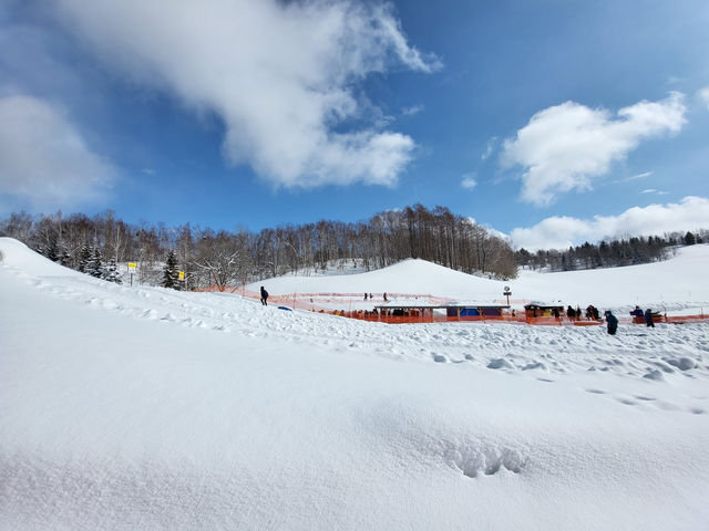 北海道必訪：札幌市郊四季皆宜的親子樂園-瀧野鈴蘭丘陵公園