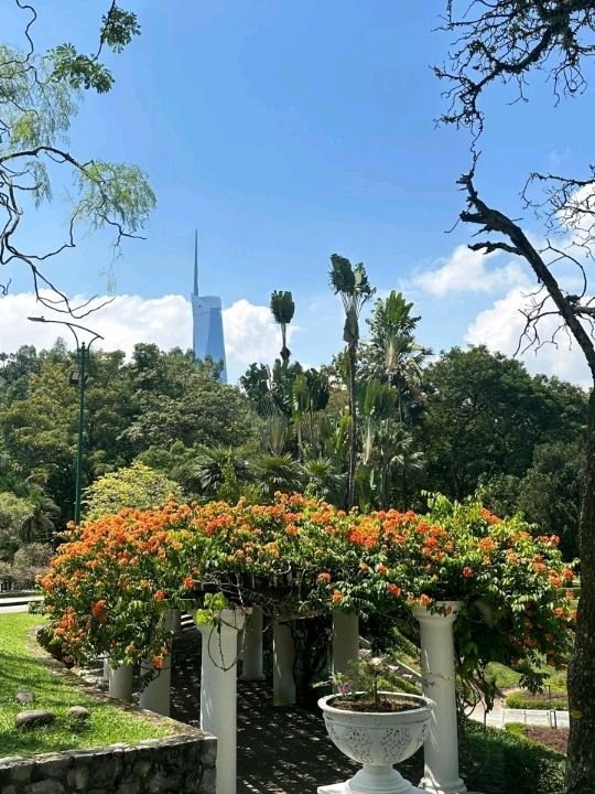 🌿 Urban Escape: Discover Perdana Botanical Garden, Kuala Lumpur