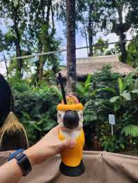 5 Days of Summer Magic in Phuket: Temples, Treats & Tropical Vibes