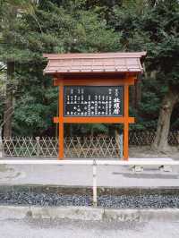 Tsurugaoka Hachimangu ⛩️