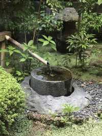 【鎌倉　小町通り、御成通りで北欧と和の折衷】
