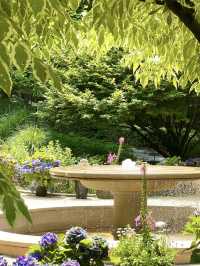 Jade Garden Natural Arboretum – A Touch of Europe Near Seoul  