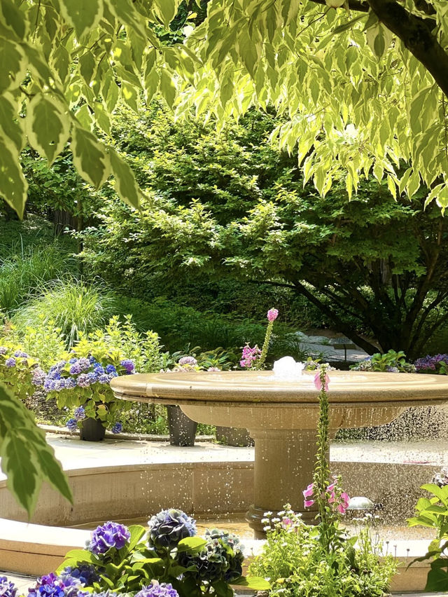 Jade Garden Natural Arboretum – A Touch of Europe Near Seoul  
