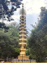 Kyoto - cultural gem!