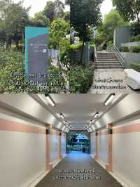 Fort Canning Tree Tunnel สวยจนอยากไปซ้ำ!!!🍀🌳