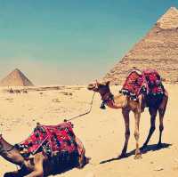 Pyramids & Beyond: A 3-Day Giza Itinerary You’ll Love