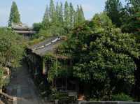 Wuzhen
