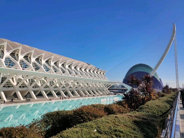 The Umbracle is a Whole Mood 