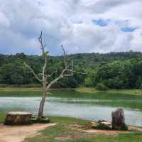 เที่ยวปากช่อง -เขาใหญ่ 2 วัน 1 คืน ไปไหนบ้าง