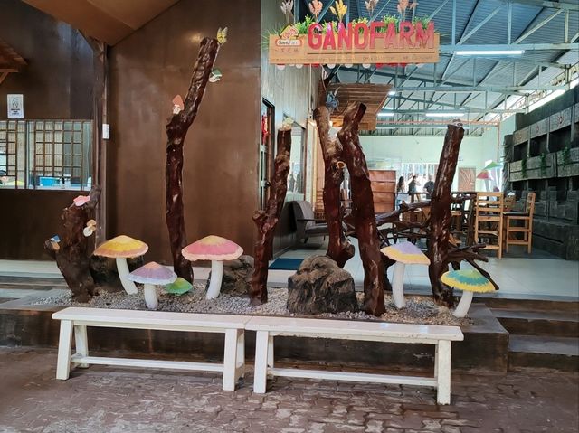 Exploring Gano Farm: A Wonderful World of Mushrooms