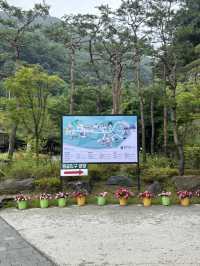 충주에서 즐기는 시원한 동굴 탐험 여행😊