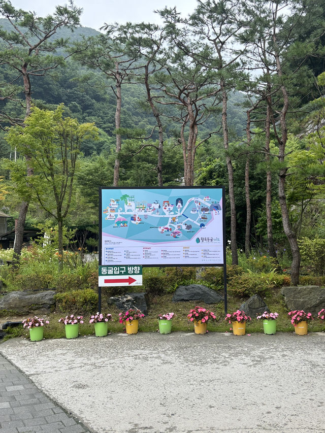 충주에서 즐기는 시원한 동굴 탐험 여행😊