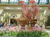 🌸 계절마다 테마가 바뀌는 실내 정원 – Bellagio Conservatory & Botanical Ga