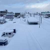 Winter Wonderland indeed!