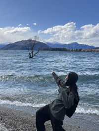 全世界最寂寞的樹，美得讓人不說話🌳📸｜紐西蘭瓦納卡湖 That Wanaka Tree