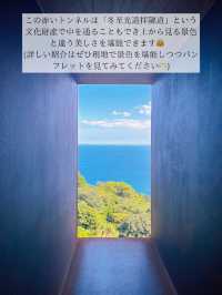 🖼知る人ぞ知る！自然の中にある博物館 in 小田原🖼