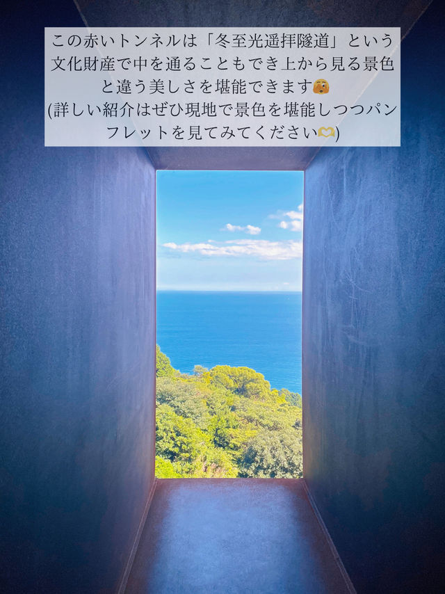 🖼知る人ぞ知る！自然の中にある博物館 in 小田原🖼