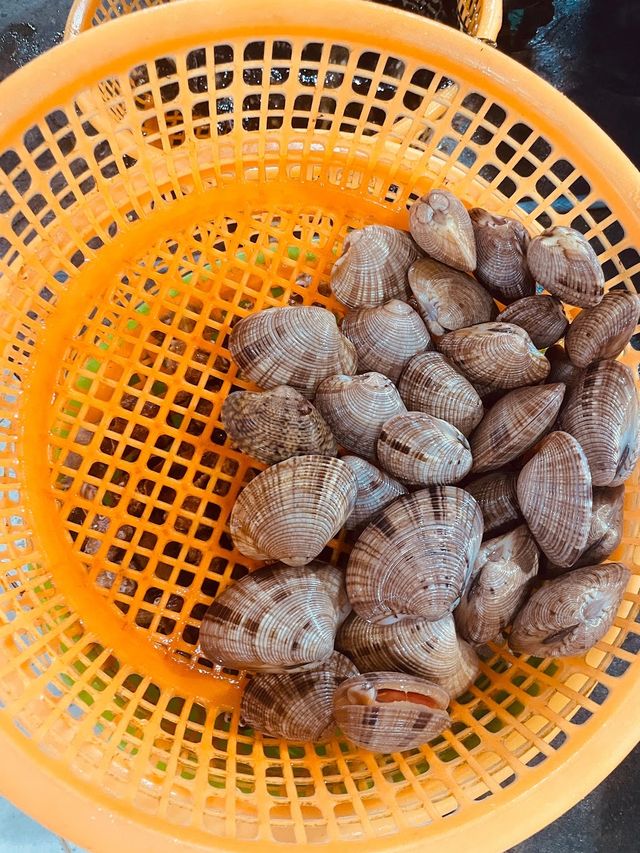 🏖️ 美奈Mui Ne：避開人潮，獨享南越海邊的靜謐時光！🤫