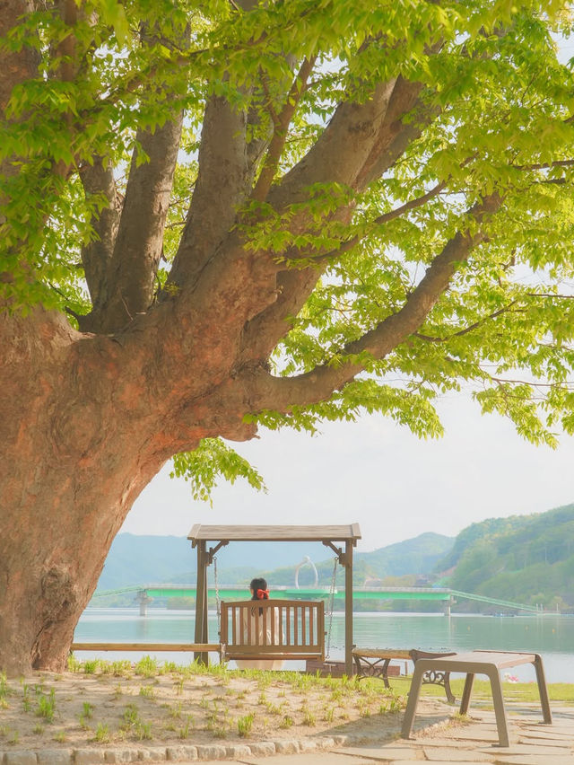 사랑 가득한 여행 하기 좋은 힐링 도시 화천🌿