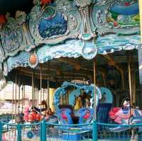 Ocean Park HongKong 🦭