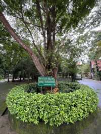 วัดป่าในเมือง พักจิตเบาๆ ที่วัดป่าคลองกุ้ง จันทบุรี
