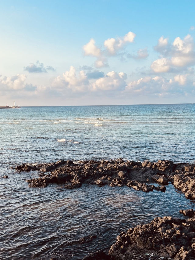 A Photographer's Dream for Rustic Coastal Scenery