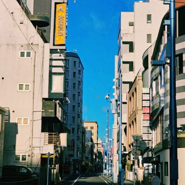 시즈오카 & 요코하마, 자연과 도시를 함께 즐긴 여행기
