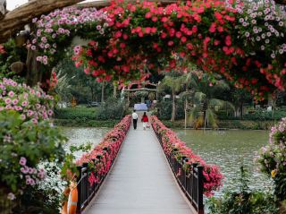 Hồ Thiên Nga, Bình yên ở một nơi rất gần