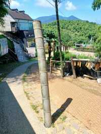 대나무숲 속 힐링 산책