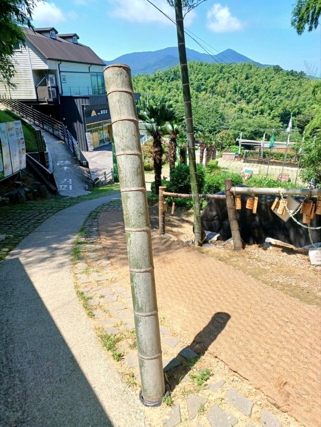 대나무숲 속 힐링 산책