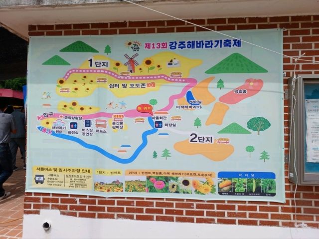 노란 여름, 해바라기 바다 속을 걷다