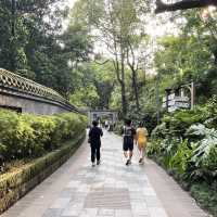 🎋 Chengdu People’s Park 成都人民公园 | A Window into Local Life