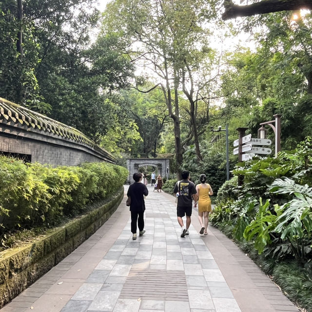 🎋 Chengdu People’s Park 成都人民公园 | A Window into Local Life