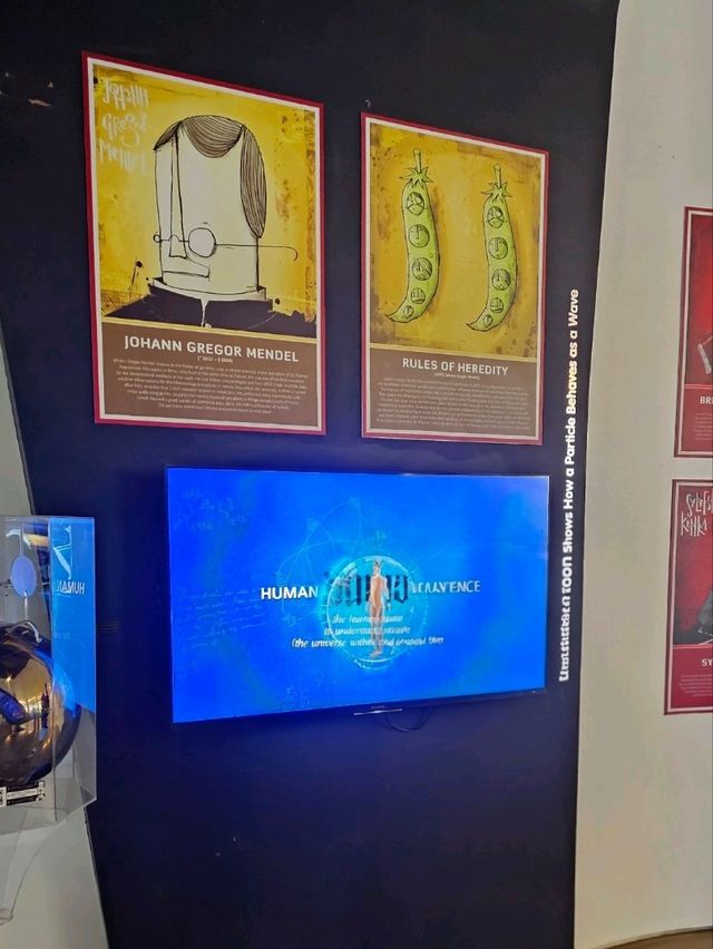 Mind Museum: Science Made Fun