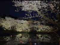 【御船山楽園】四季が彩る幻想庭園で、心ほどけるひととき🌸🍁🌌