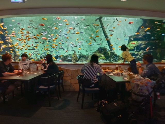 名古屋港水族館
