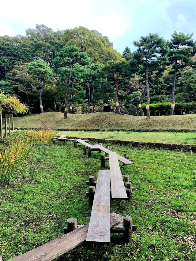 A Relaxing Walk Through Tokyo’s Garden and Cultural Highlights