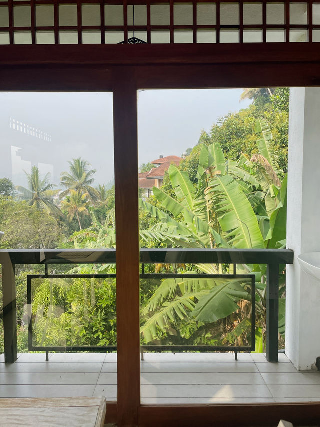 【Chariot Square Hotel】🇱🇰自然に囲まれたブティックホテル 【Chariot Square Hotel】🇱🇰自然に囲まれたブティックホテル